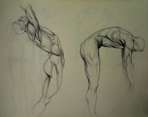 anatomy_study_by_kimsuyeong81-d5cpm1i